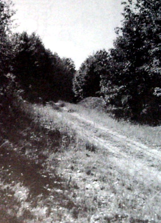 Tunk - 1990S Photo From Larry Wakefield - Ghost Towns Of Mi Vol 1 (newer photo)
